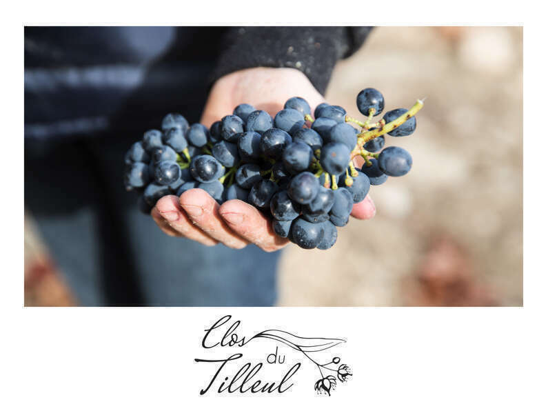 3520220929-1442430-1jkbvv2