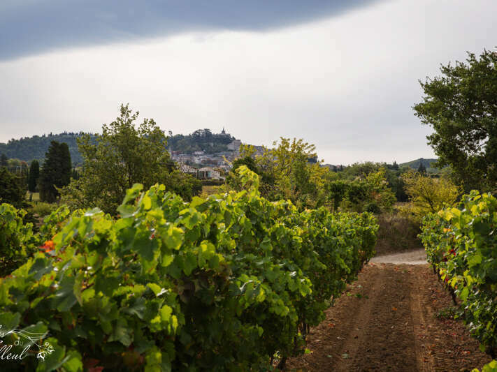 1620220929-1442430-1rjhu39