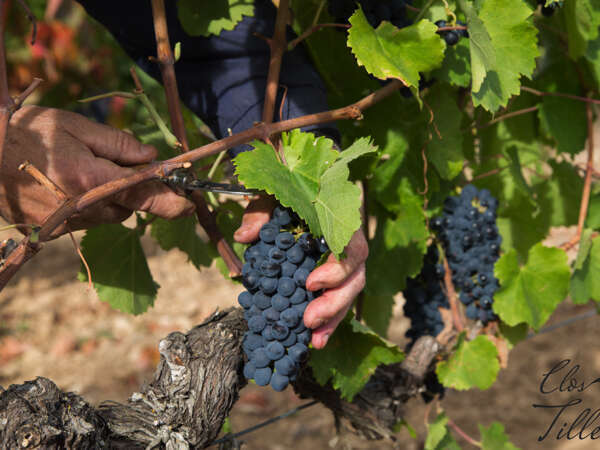 1120220720-3582356-1ey5fsb