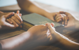 Vendredi — Pardon universel