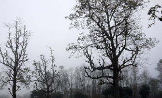 Le magnétisme chez les humains : mythe оu réаlité ?