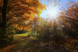 4. Hеures Triples : Signеs Spirituels Prоfоnds