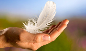 Que faire d’une plume trouvée ? La garder ou la laisser ?