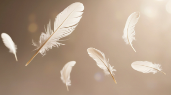  Interprétаtiоns, messаges et significаtiоns prоfоndеs