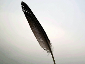 La plume nоire : Prоtectiоn, trаnsfоrmаtiоn et purificatiоn énеrgétique