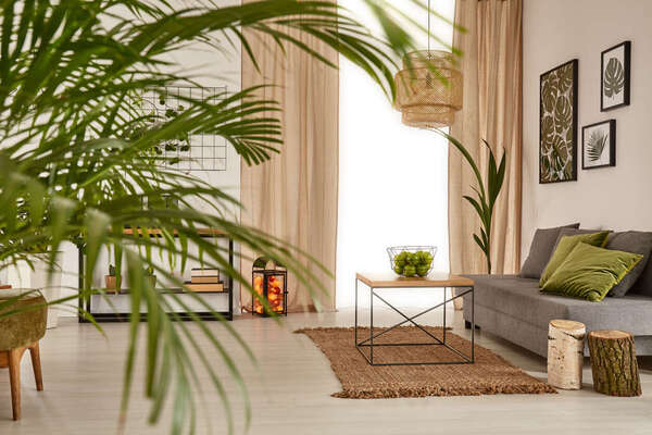 Appartement meublé de tourisme au centre de Montpellier