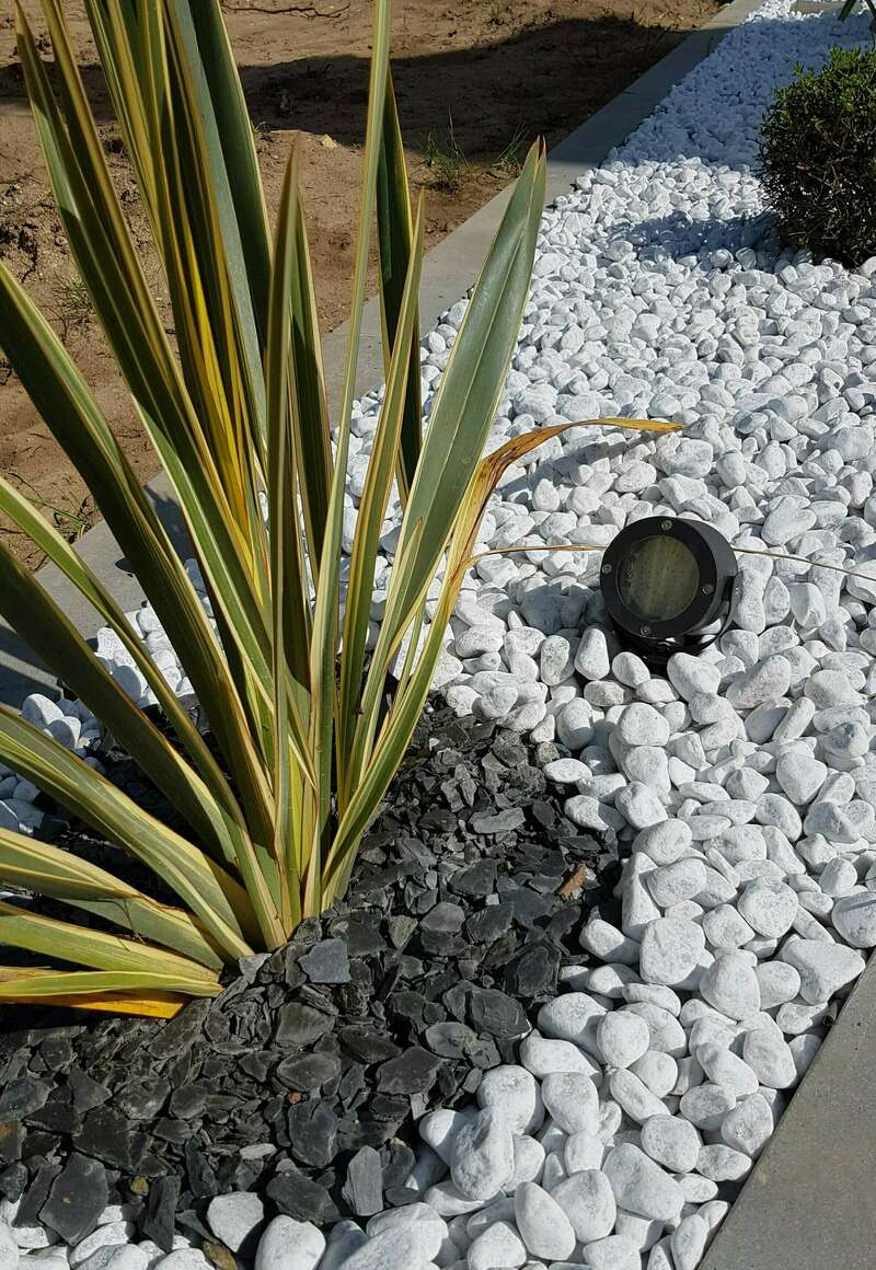 20180419_163902__2_20240723-743320-ahvj18