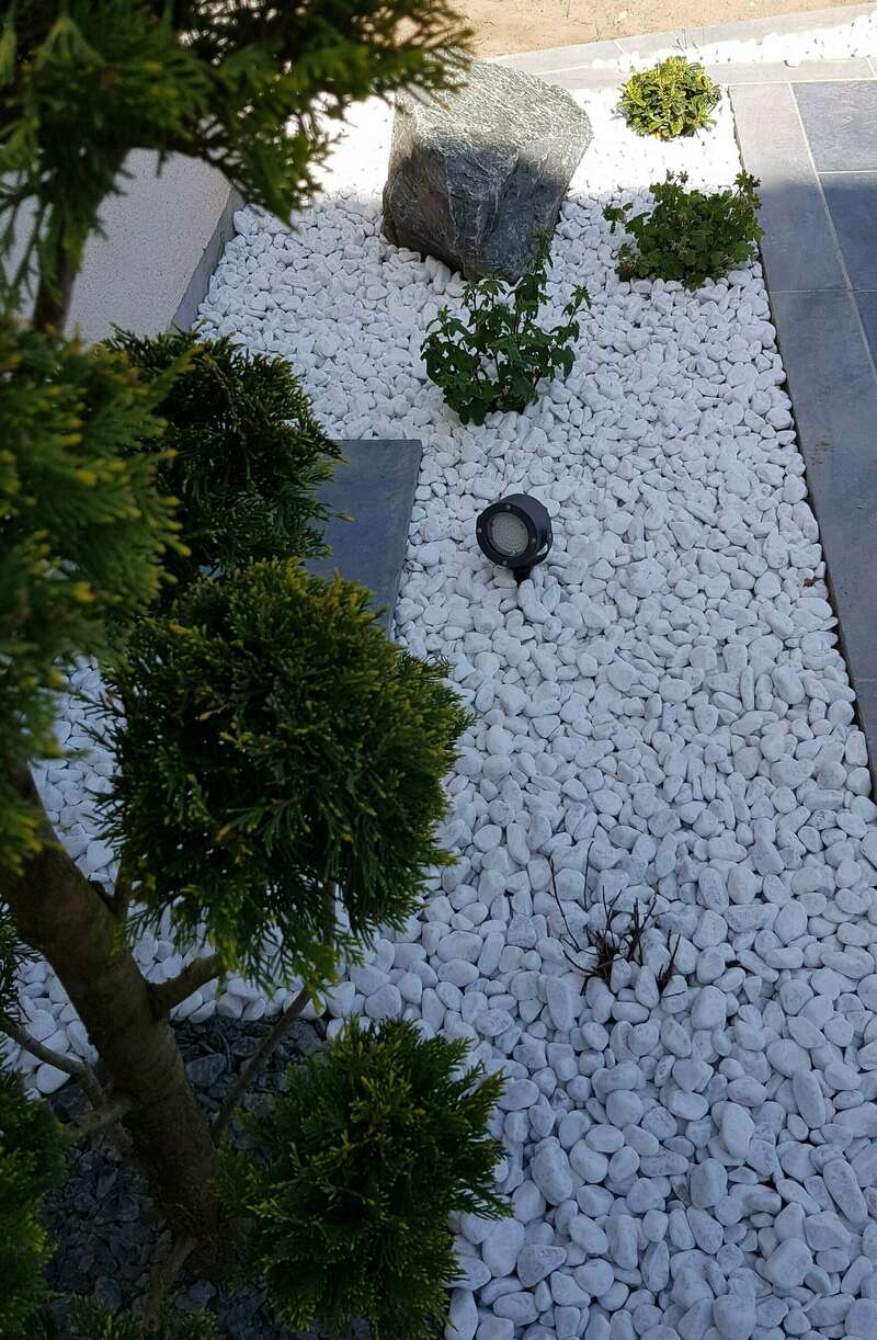 20180419_16384820240723-743063-tvg6wi