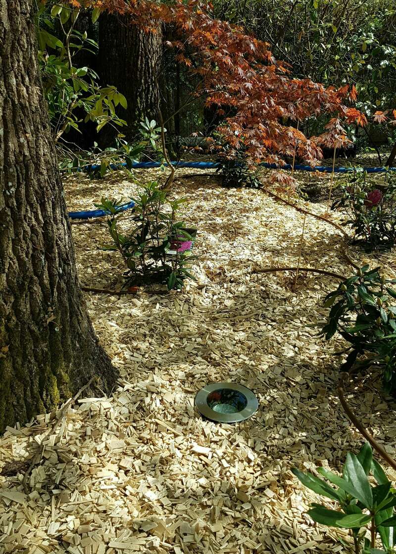 20180419_16421720240723-743063-mjglnn