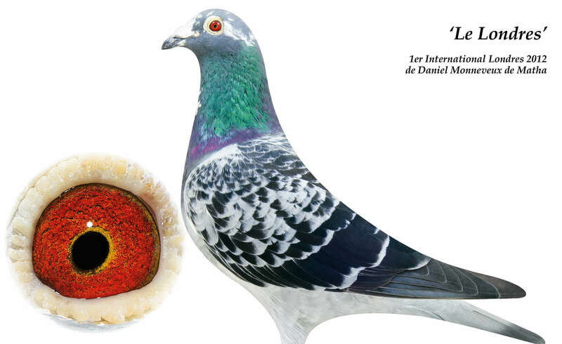 le_londres20221111-900673-8q3d59