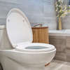 wc debouchage toilette plombier paris