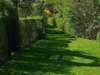Entretien de jardin