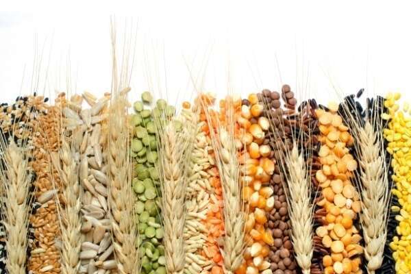 Indices des prix des produits agricoles - Année 2025