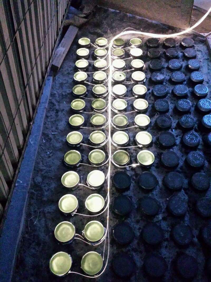 10960755_881524905226144_1632669834_o