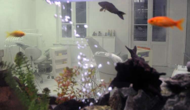 vvxwq9wb2q_1593442833