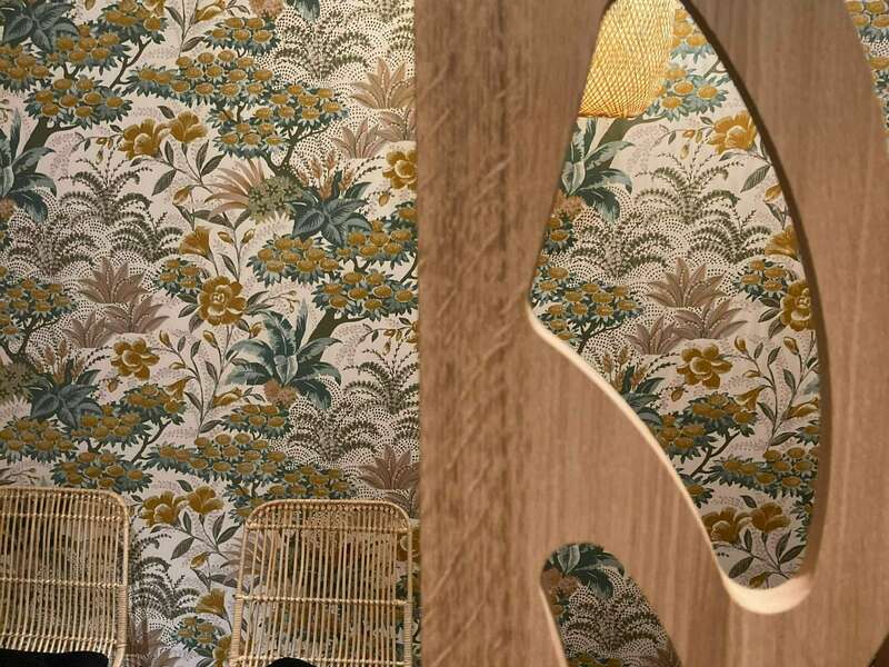 331798620_924607838533819_6016736261437274314_n