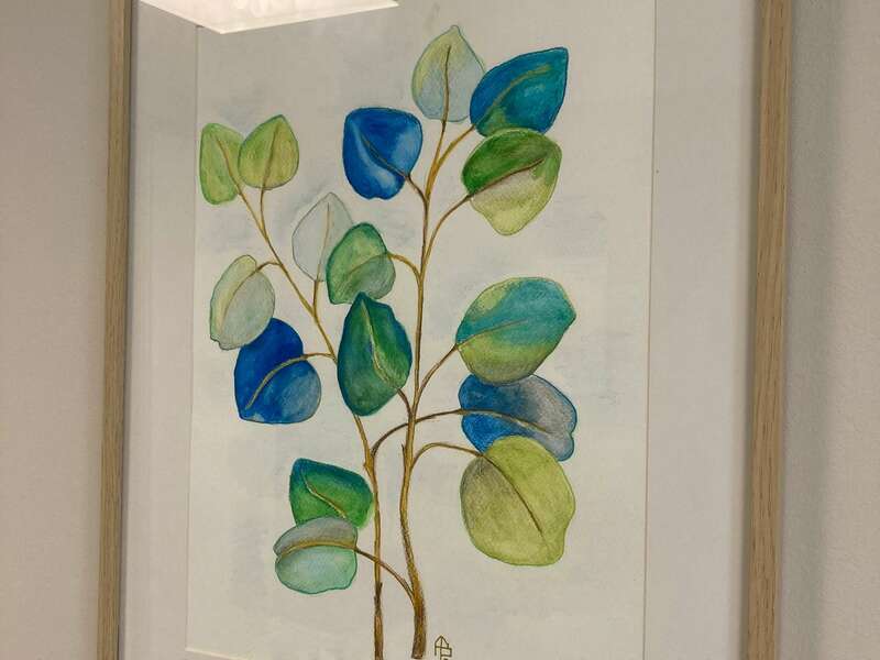 332584065_6883126335036650_6590004604052253851_n