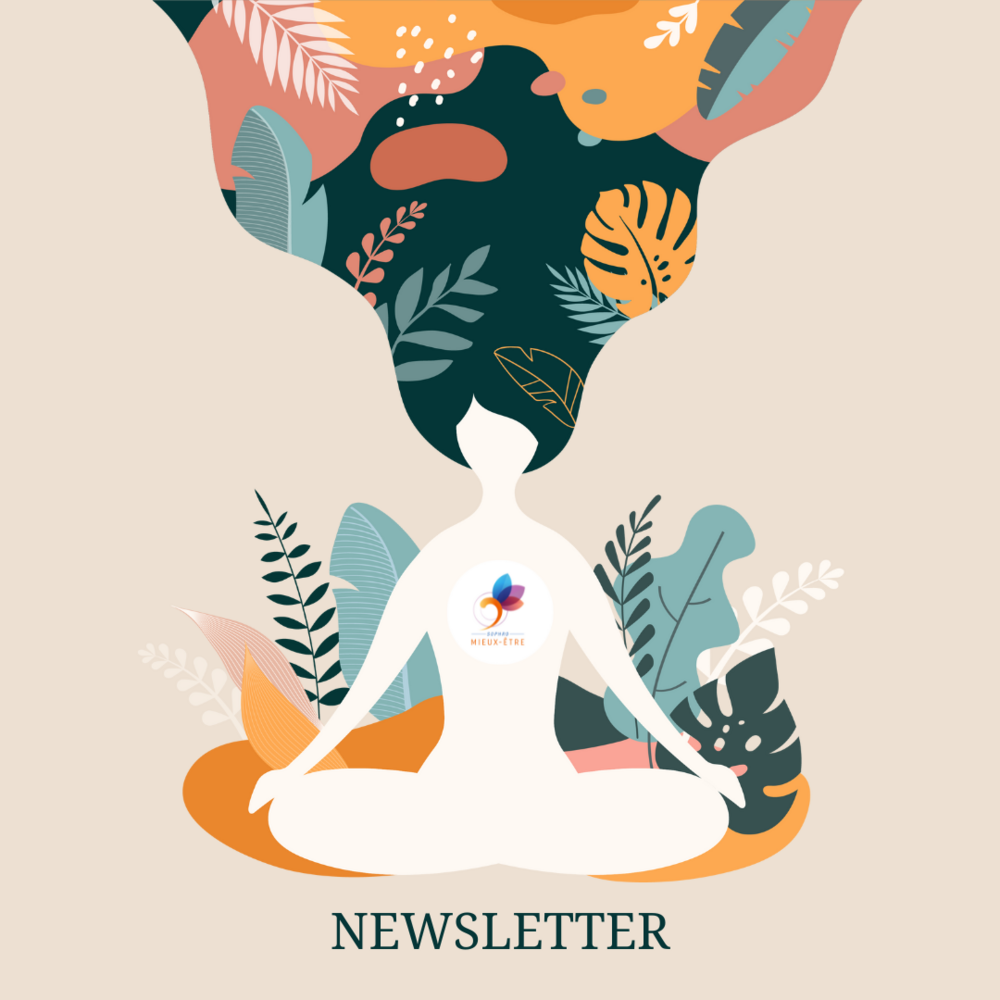 Newsletter de Novembre 2025