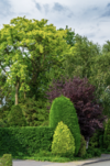 Famille heureuse profitant dun jardin estival bien entretenu