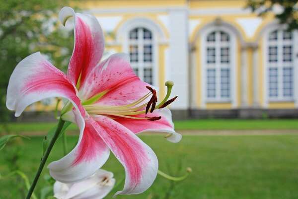 Le Karma Positif et Négatif : Une Perspective Spirituelle et Non Spirituelle