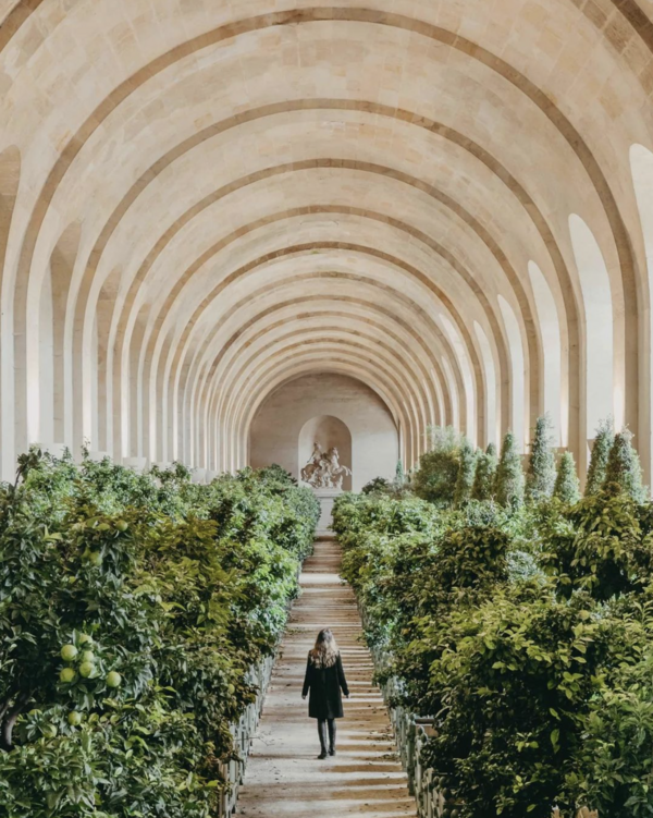  L'Orangerie de Versailles : Un voyage à travers l'Histoire et l'Architecture