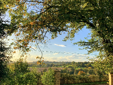 capture_d_ecran_2025-03-26_a_23-05-35