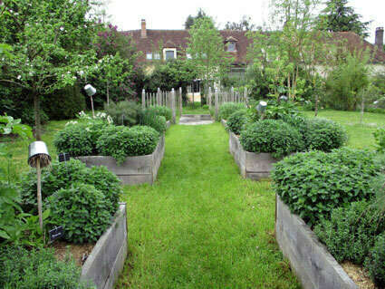 potager-3-debut-printemps