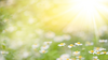 personne méditant dans un environnement zen