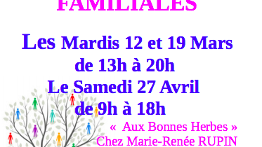 Constellations Familiales - Ateliers 12, 19 Mars et 27 Avril