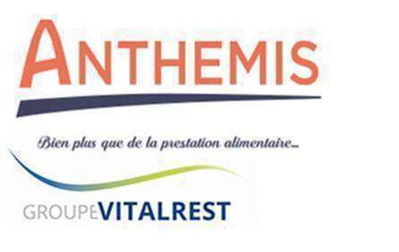 Anthemis