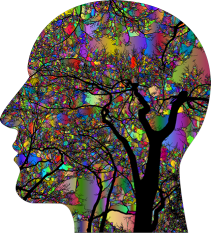 LE NERF VAGUE, L'HARMONIE CERVEAU-INTESTIN