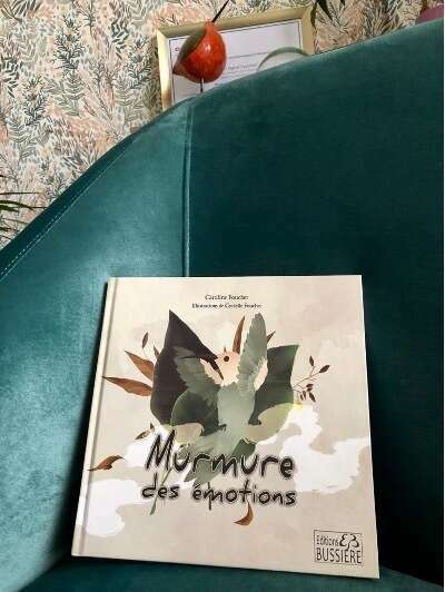 COMMENT VIVRE HARMONIEUSEMENT SES EMOTIONS