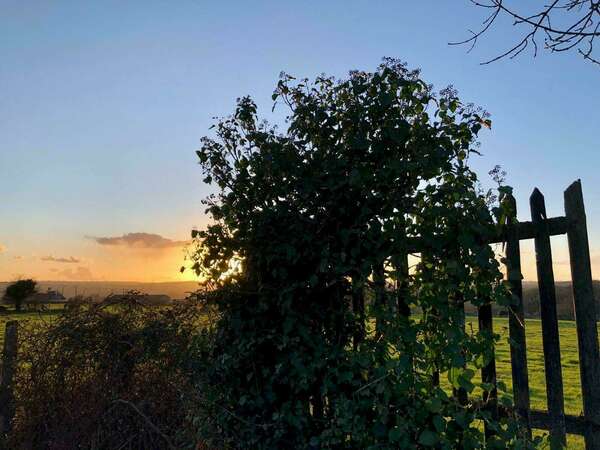 LE POUVOIR DES HABITUDES 