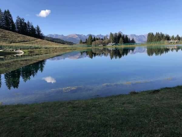 GESTION DU STRESS : COMPRENDRE, PREVENIR ET AGIR POUR UN BIEN-ÊTRE GLOBAL