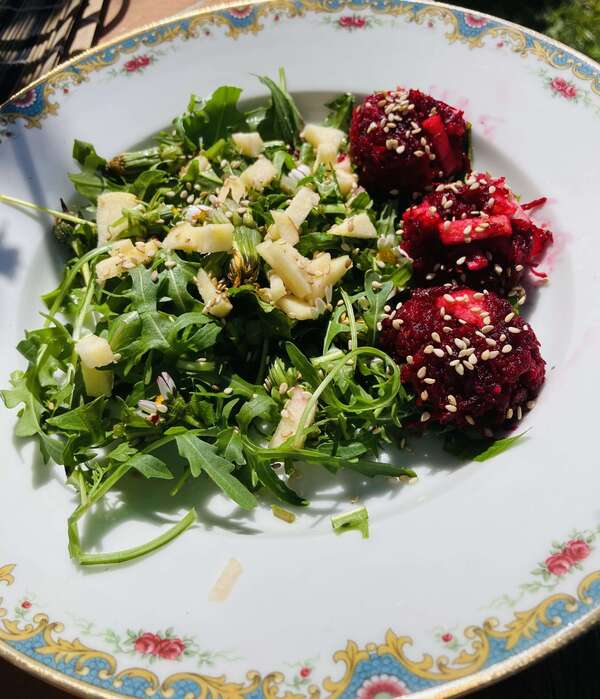 Salade sauvage printanière 