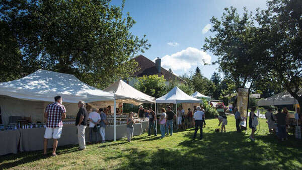 ACTUS 88 - Du 23 AU 29 Août