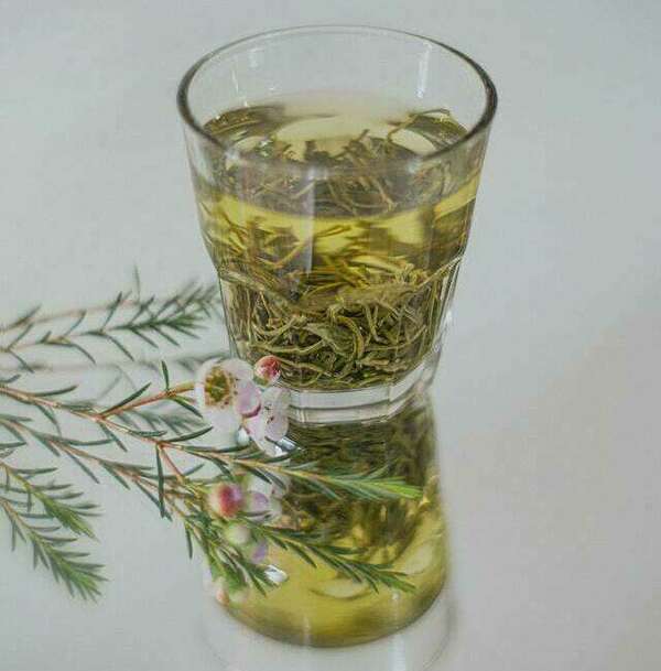 De la plante à la tasse