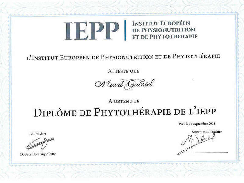 iepp110241024_1