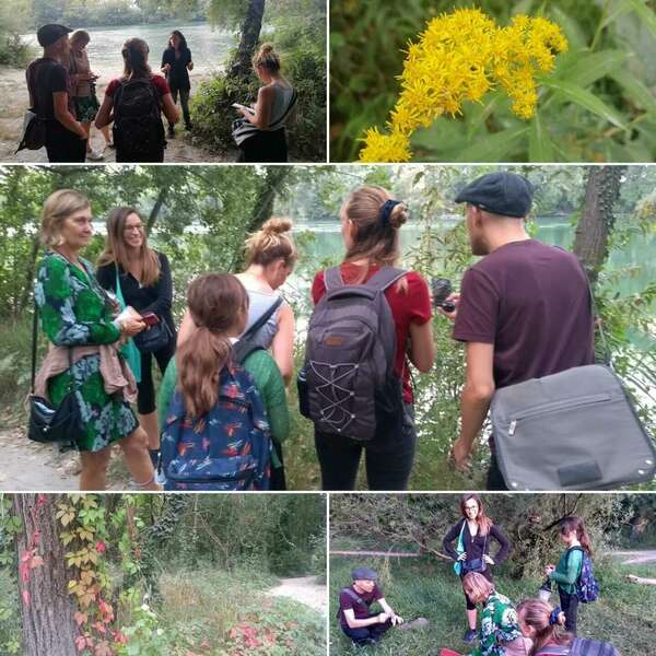 Marie Nauleau Herboristerie Conseils