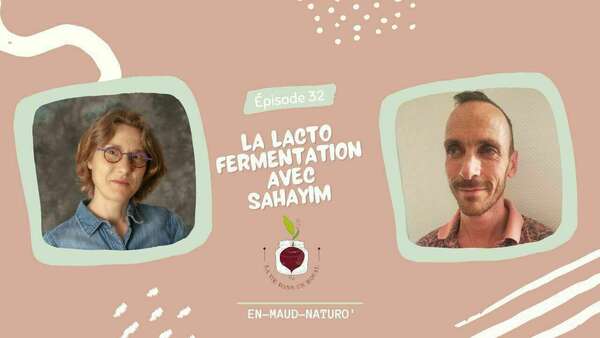 Tout savoir sur les aliments fermentés