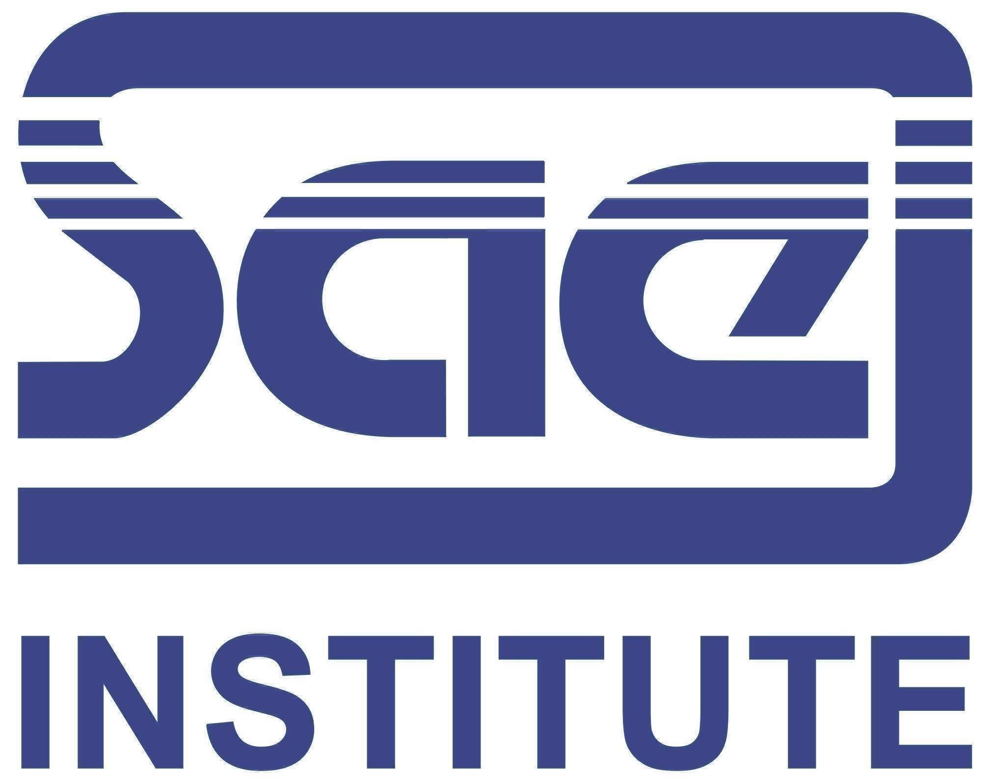 Sae Institute