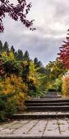 SARL EDEN NATUR’CONCEPT, Création et aménagement de jardins à Quévert