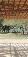 SARL EDEN NATUR’CONCEPT, Construction d'abris et pergola en bois à Tinténiac