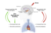 Une figure qui montre le lien entre respiration et stress via le SNA et les effets des pratiques de respiration diaphragmatique lente sur le système nerveux