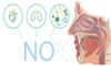 schema respiration nasale