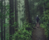 personne marchant dans une forêt