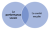 schema performance et santé vocale