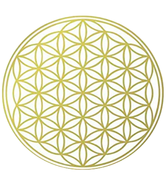 Logo Marlène FRIDELOUX