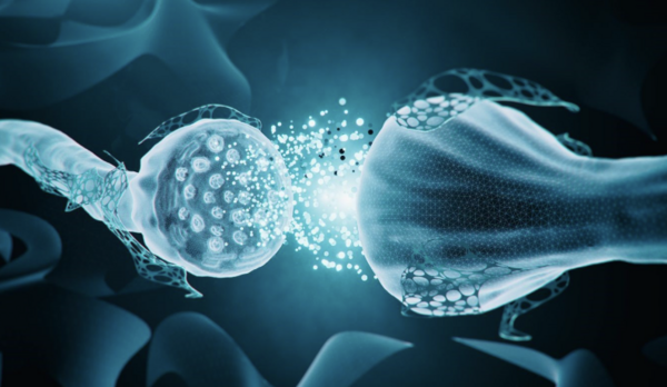 Neurotransmetteurs les messagers invisibles qui pilotent notre cerveau