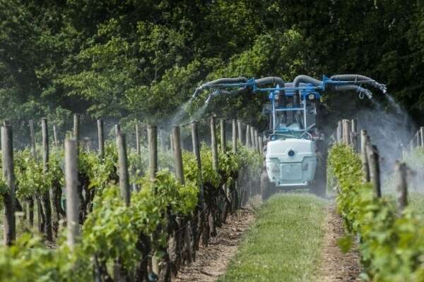 Produits phytopharmaceutiques : faciliter la lutte contre certaines maladies